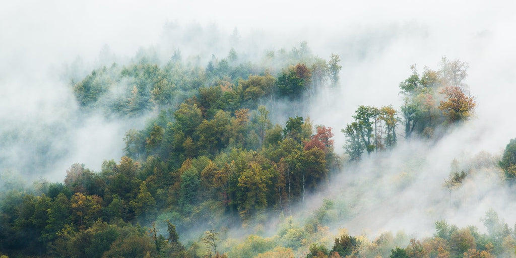 Stage photo montagne privé deux jours