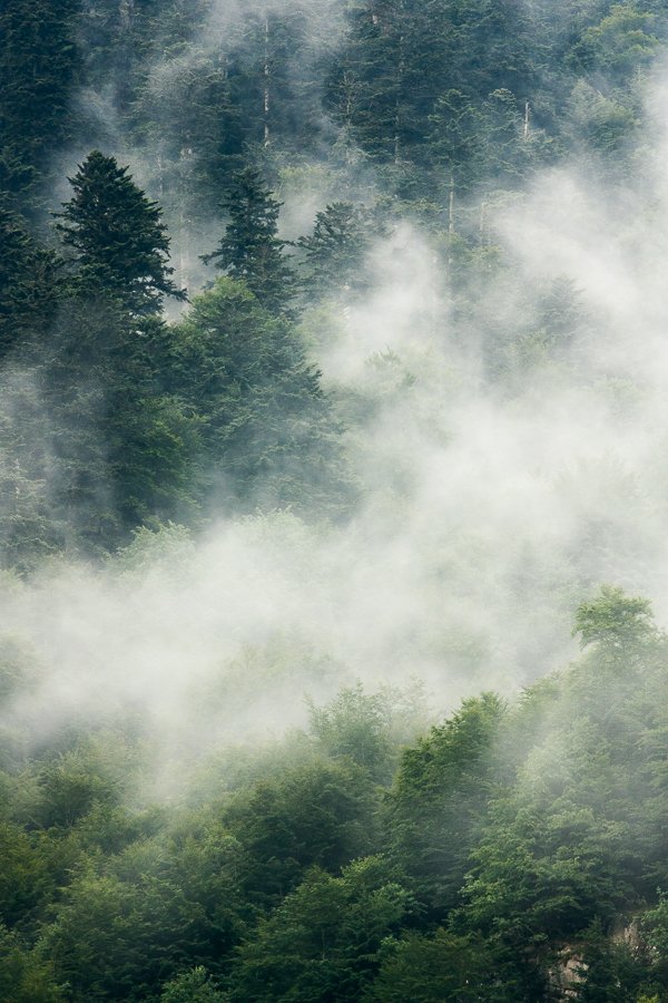 Stage photo montagne privé deux jours