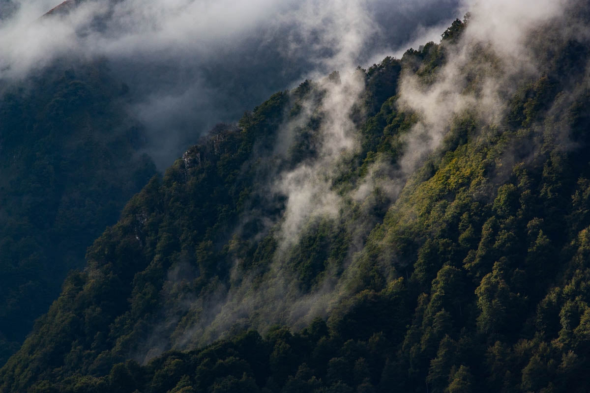 Stage photo Pays Basque