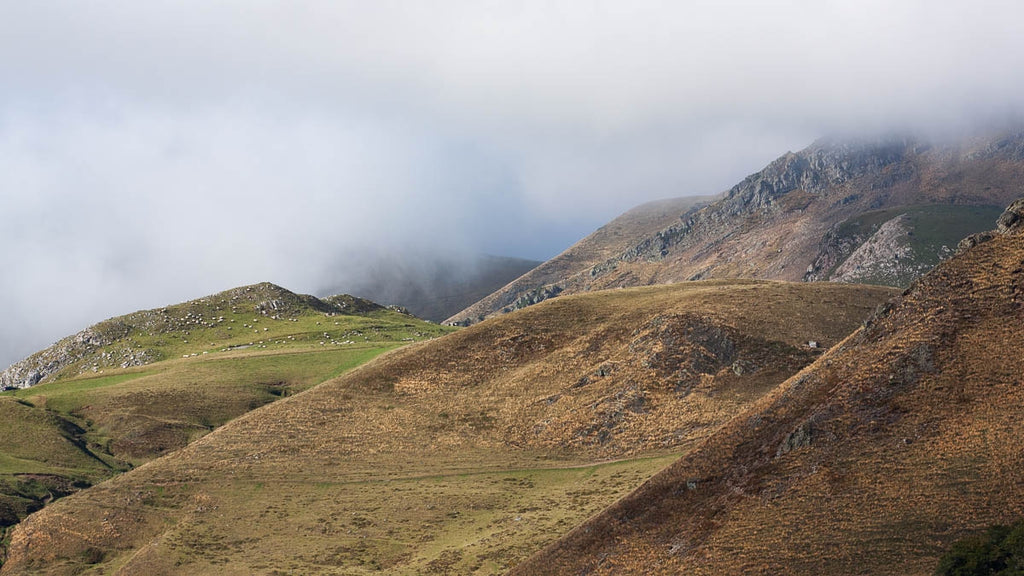 Stage d'initiation photo et journée photo Pays Basque