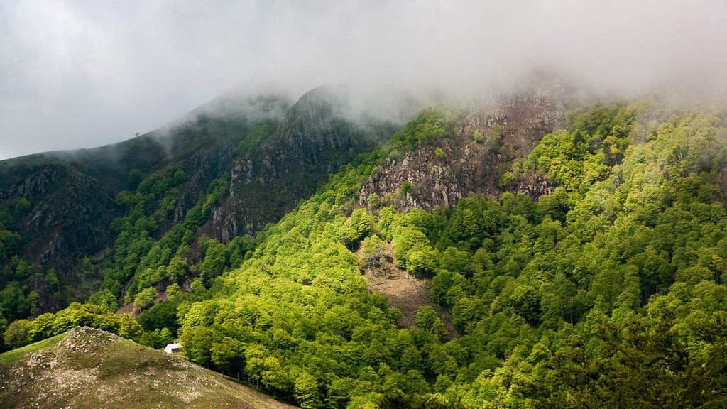 Stage d'initiation photo et journée photo Pays Basque