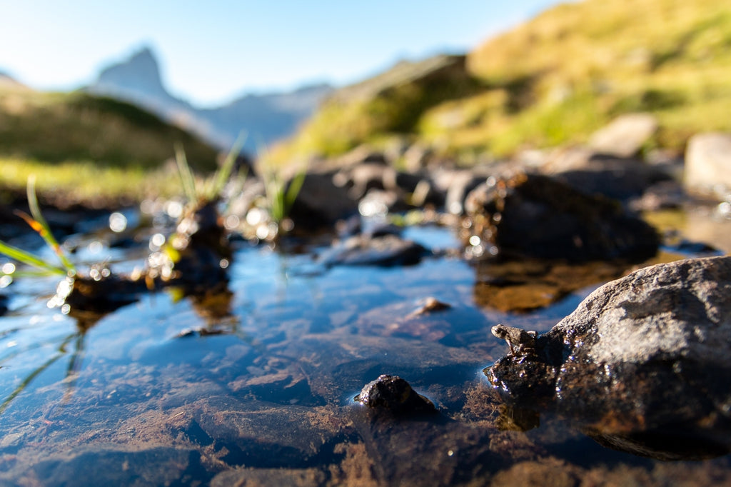 Stage photo montagne privé deux jours