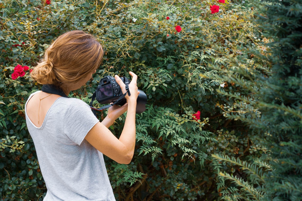 Stage d'initiation photo et journée photo Pays Basque