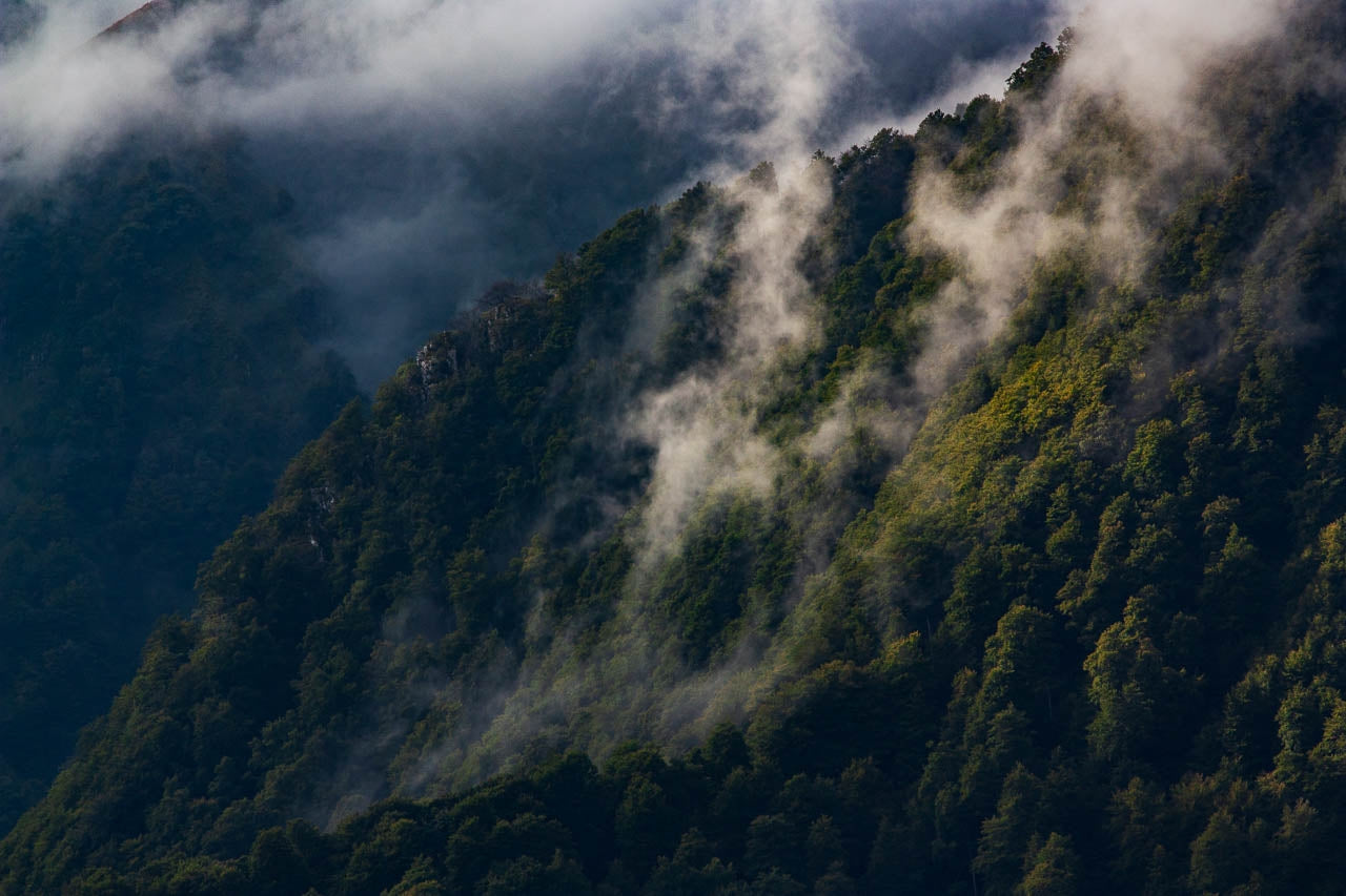Stage d'initiation photo et journée photo Pays Basque