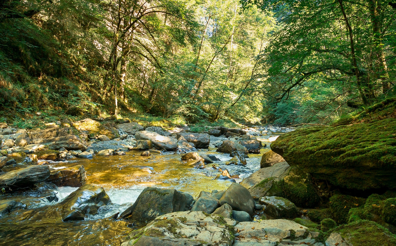 Offrir un stage photo