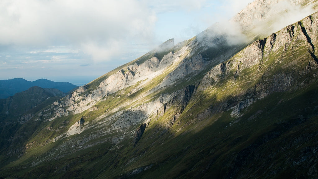 Offrir un stage photo