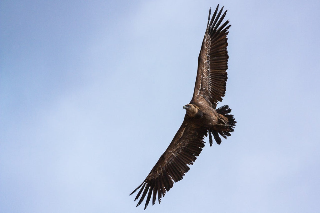 Offrir un stage photo