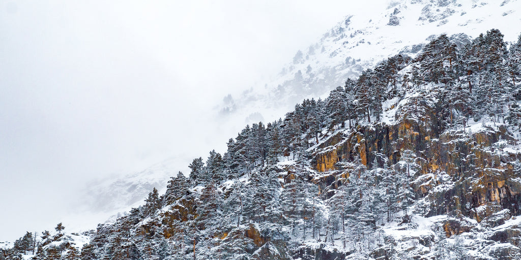 Stage photo à offrir - Bon Cadeau