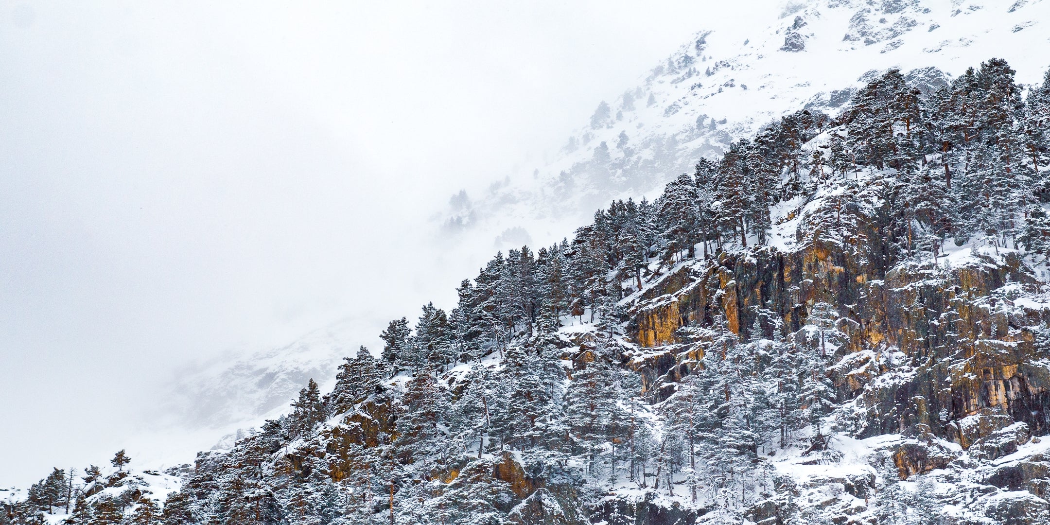 Stage photo à offrir - Bon Cadeau