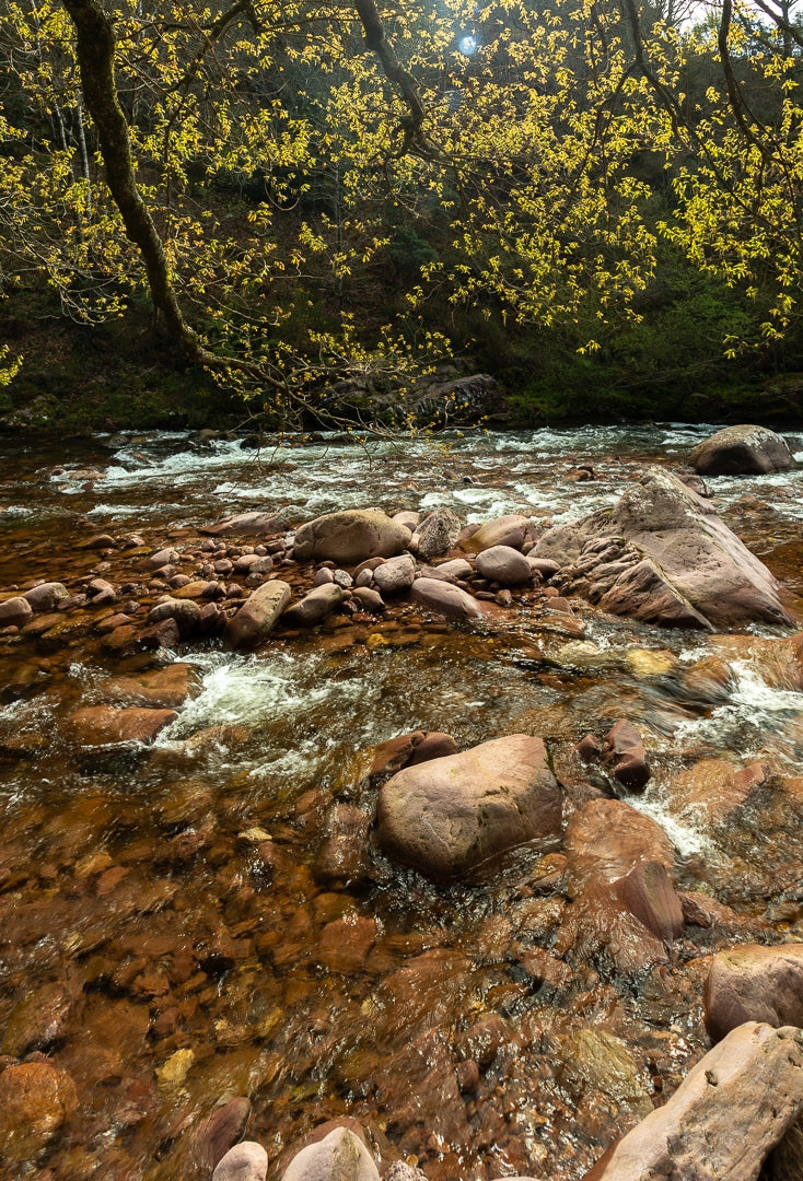 Offrir un stage photo