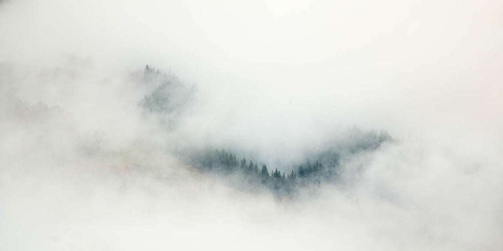 Offrir un stage photo