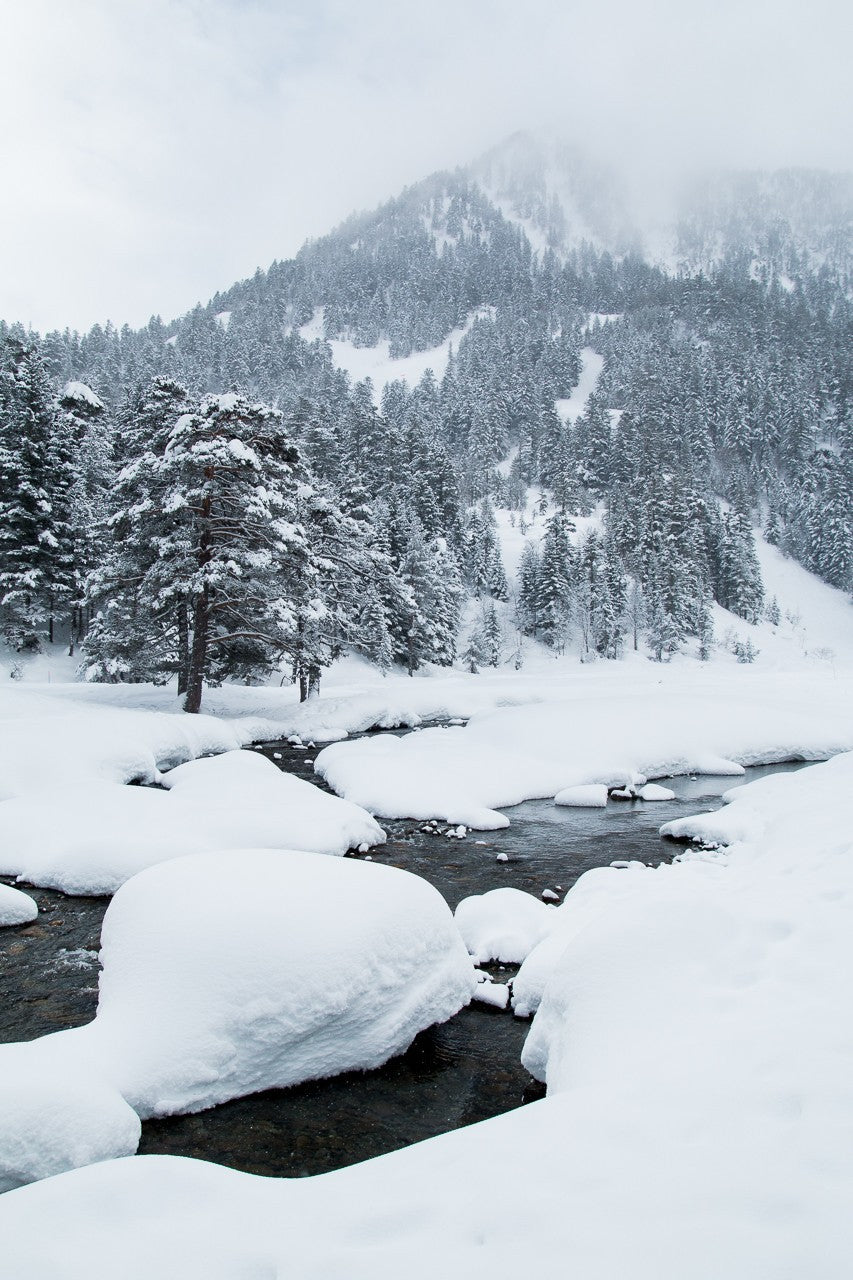 Offrir un stage photo