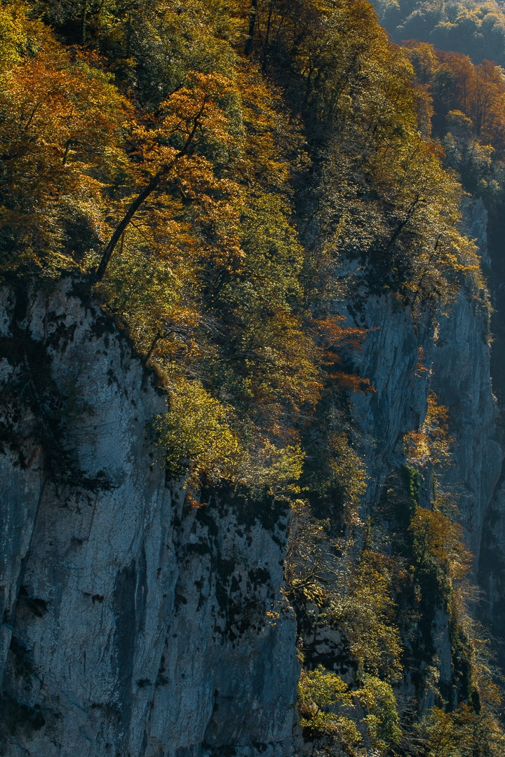 Stage photo Pays Basque - Journée Pays Basque