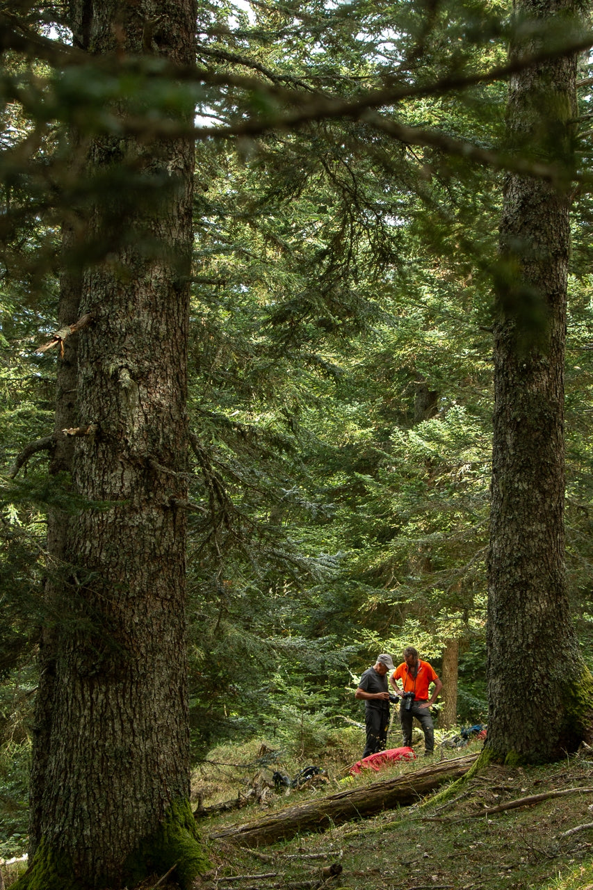 Offrir un stage photo