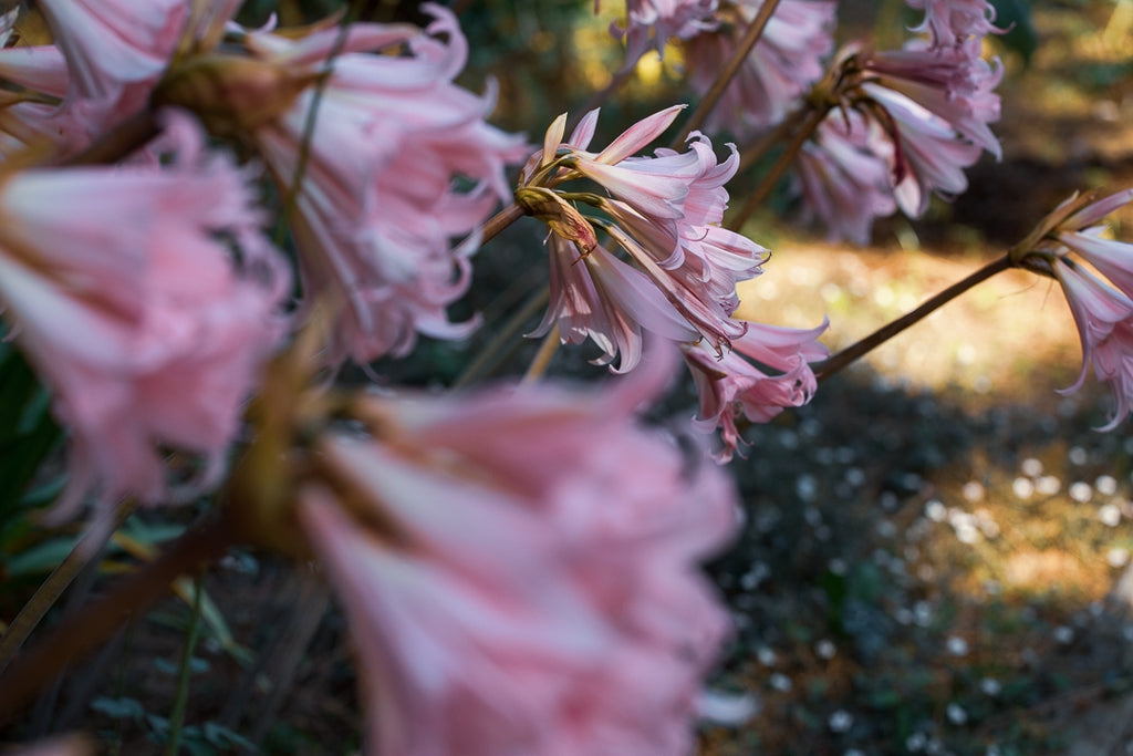 Offrir un stage photo