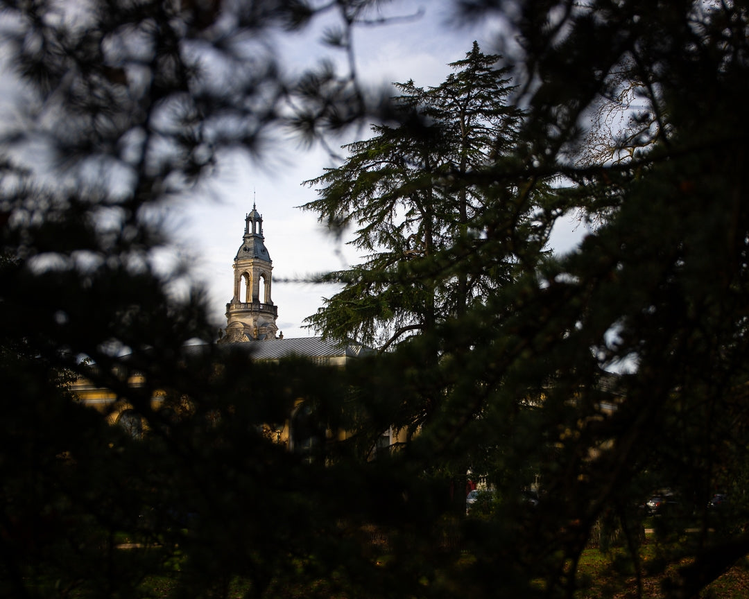 Offrir un stage photo