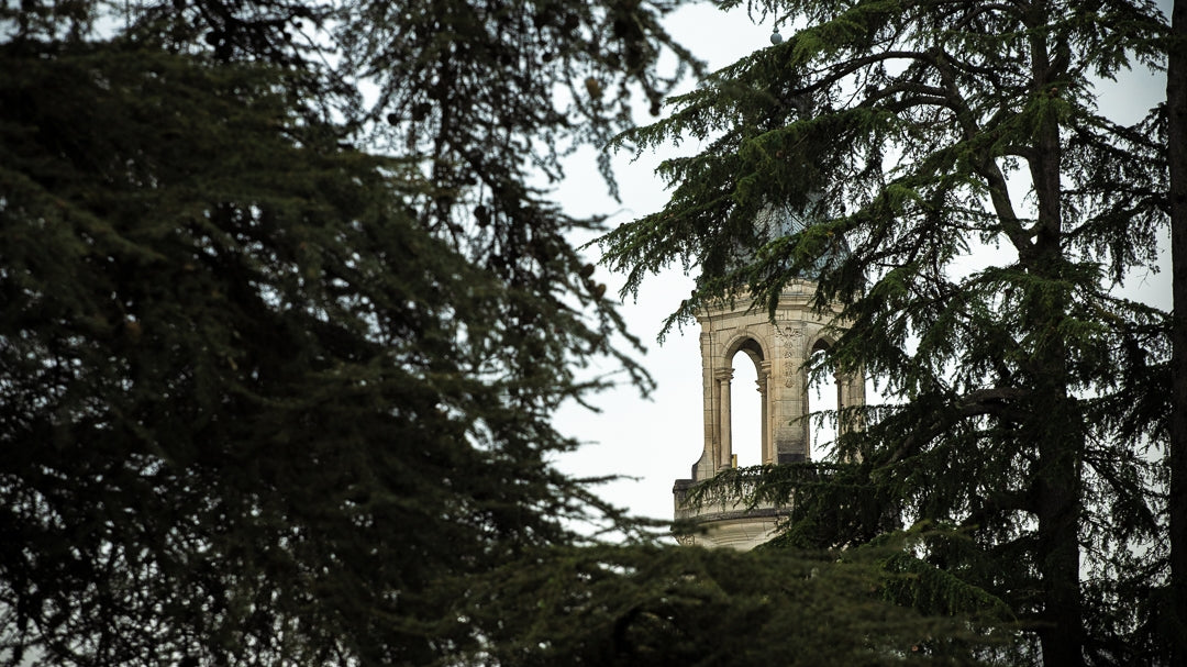 Pack Découverte Photo - Pau niveau 1 et 2