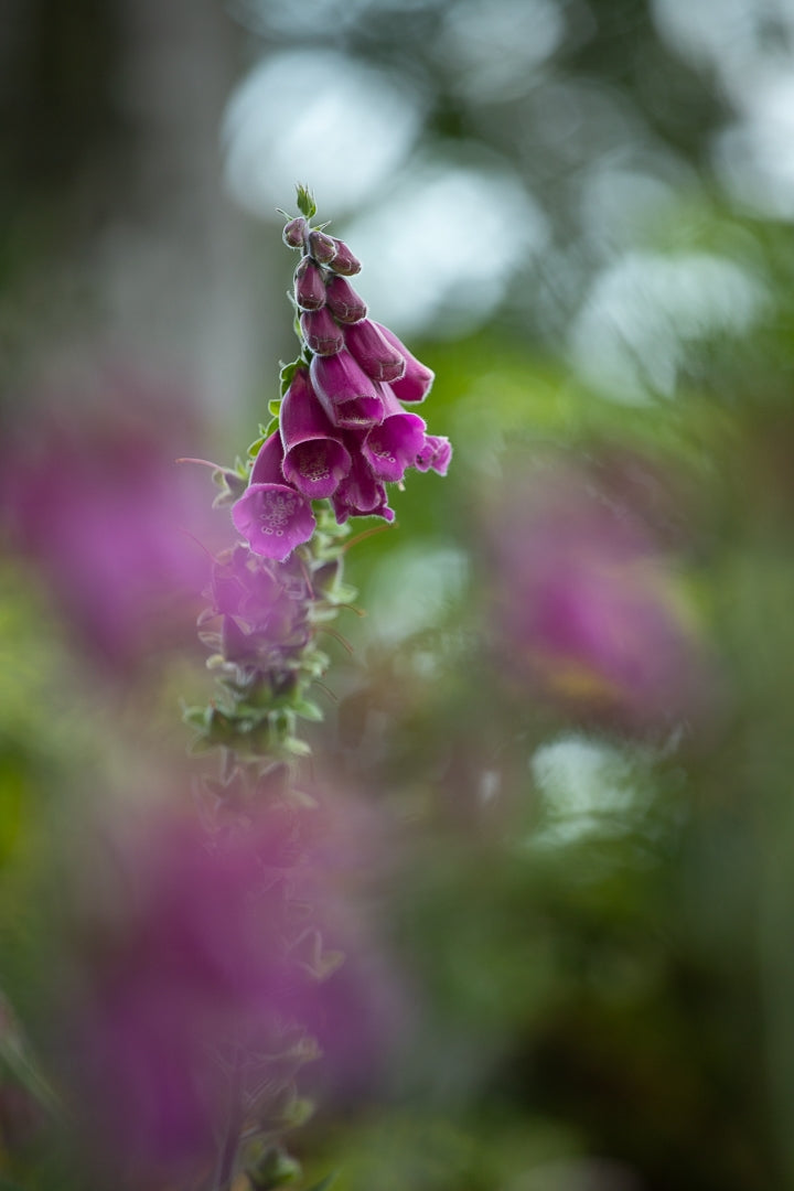 Stage photo Pays Basque