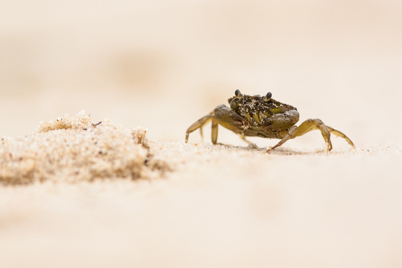 Offrir un stage photo