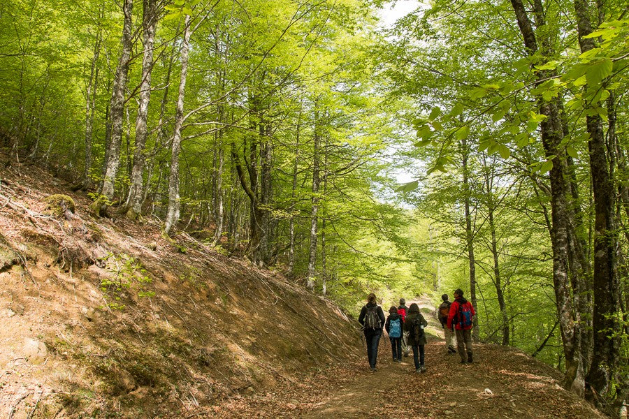 Stage photo Pays Basque