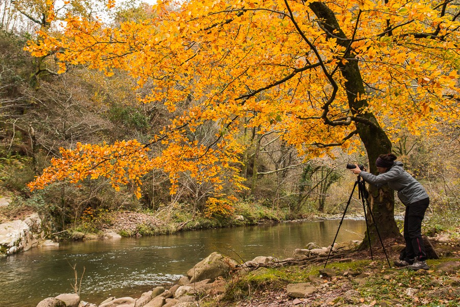 Stage d'initiation photo et journée photo Pays Basque