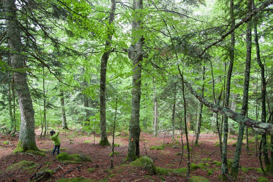 Stage d'initiation photo et journée photo Pays Basque