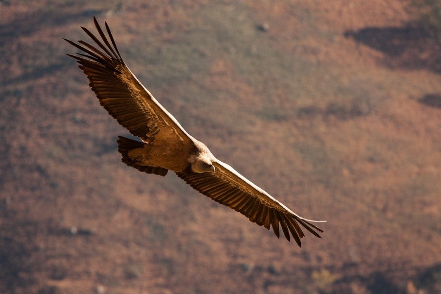 Stage d'initiation photo et journée photo Pays Basque