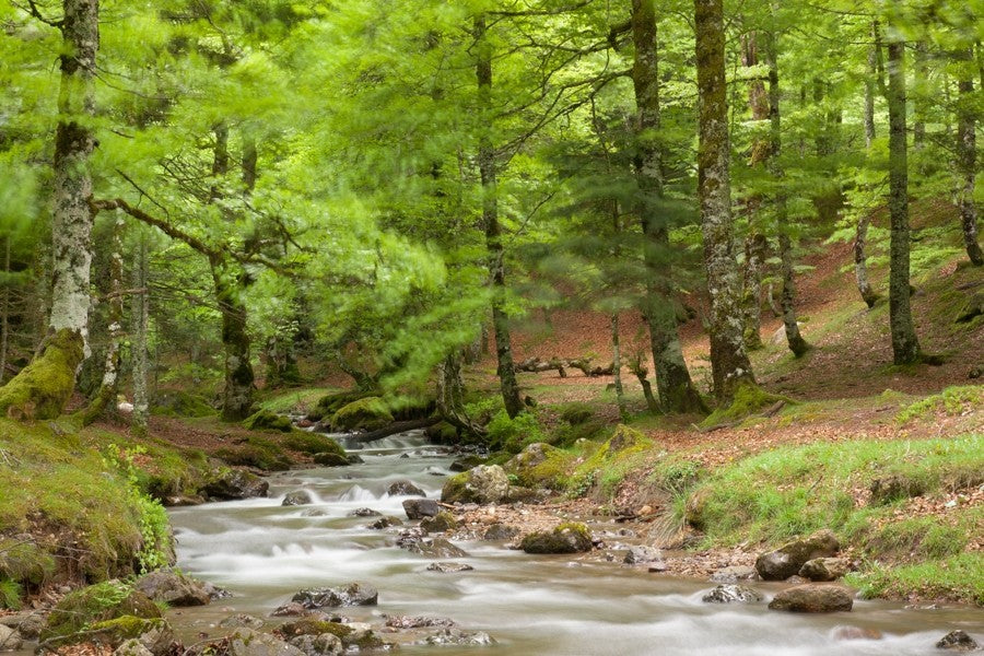 Stage d'initiation photo et journée photo Pays Basque