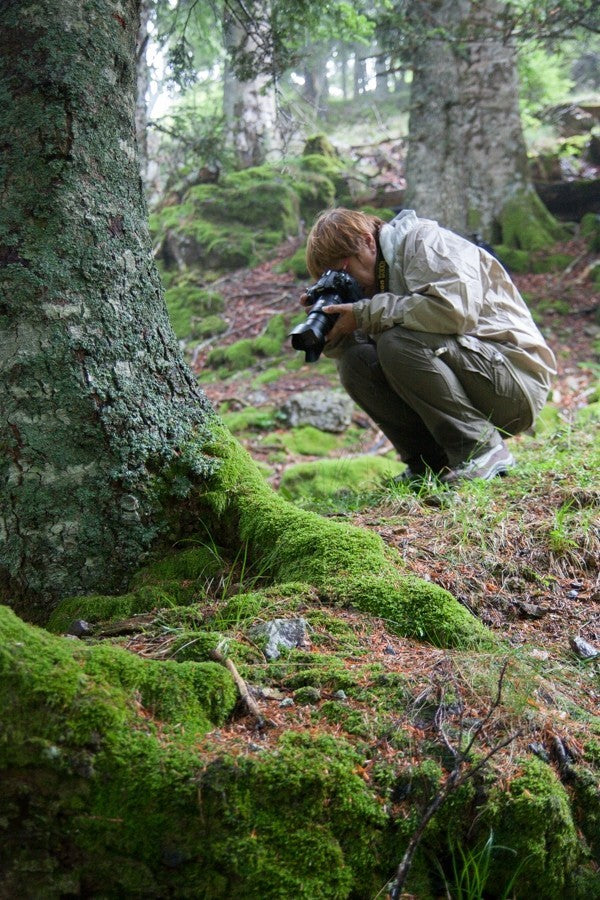 Stage d'initiation photo et journée photo Pays Basque