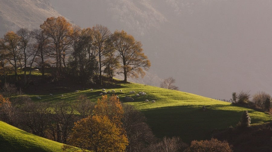 Stage d'initiation photo et journée photo Pays Basque