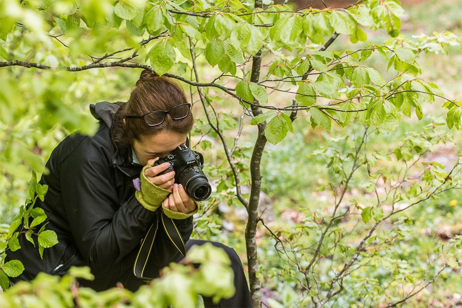 Stage d'initiation photo et journée photo Pays Basque