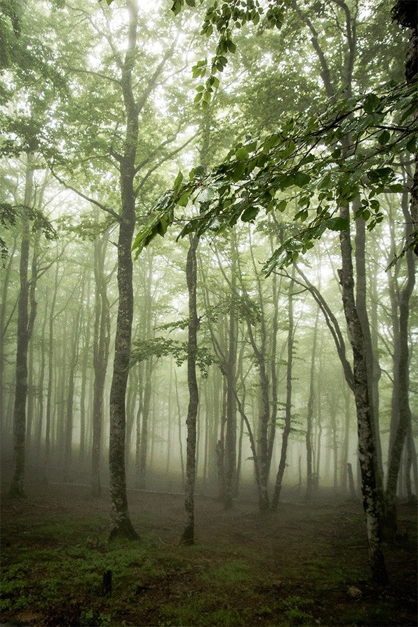 Stage d'initiation photo et journée photo Pays Basque