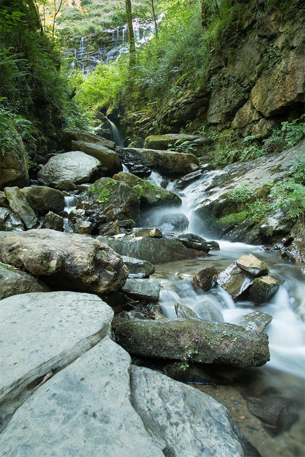 Stage d'initiation photo et journée photo Pays Basque