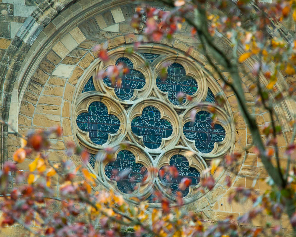 Stage photo à offrir - Bon Cadeau