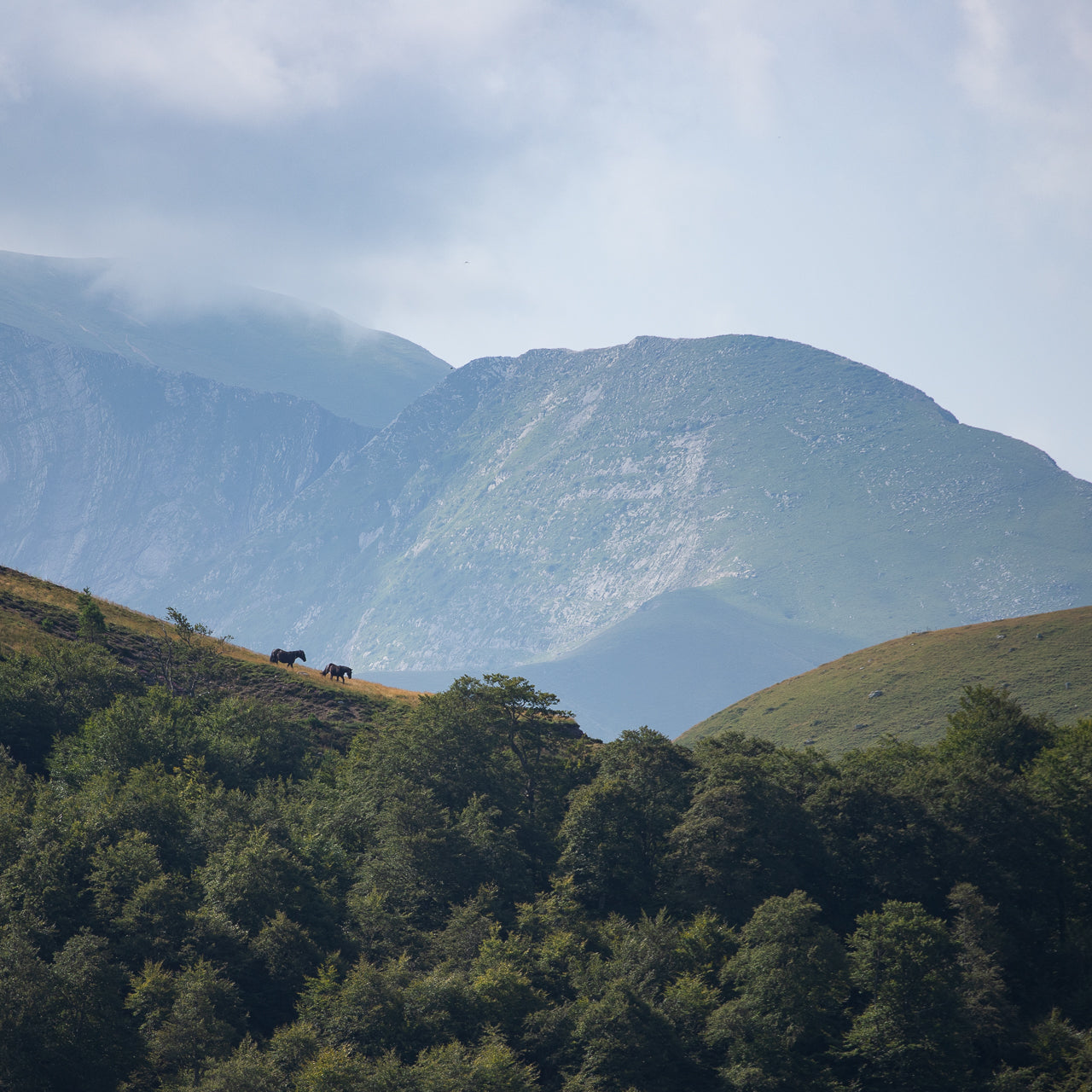 Stage photo au Pays Basque - Iraty