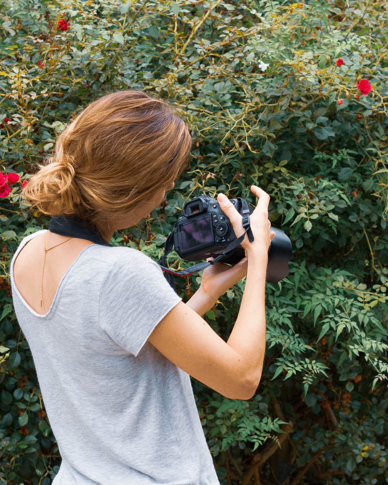 Stage photo Pau - Initiation photo niv 1